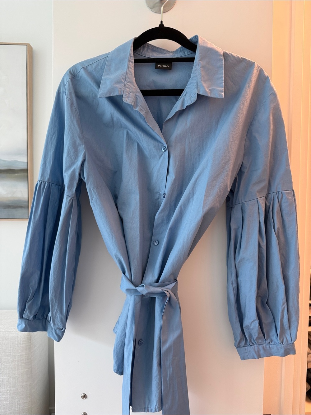 Pinko Light Blue Puff-Sleeve Tie-Waist Shirt